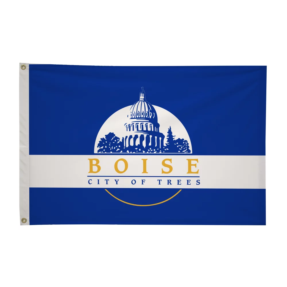 Drapeaux de ville de 2' x 3'