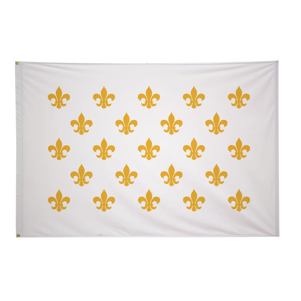 Drapeaux historiques de 4' x 6'