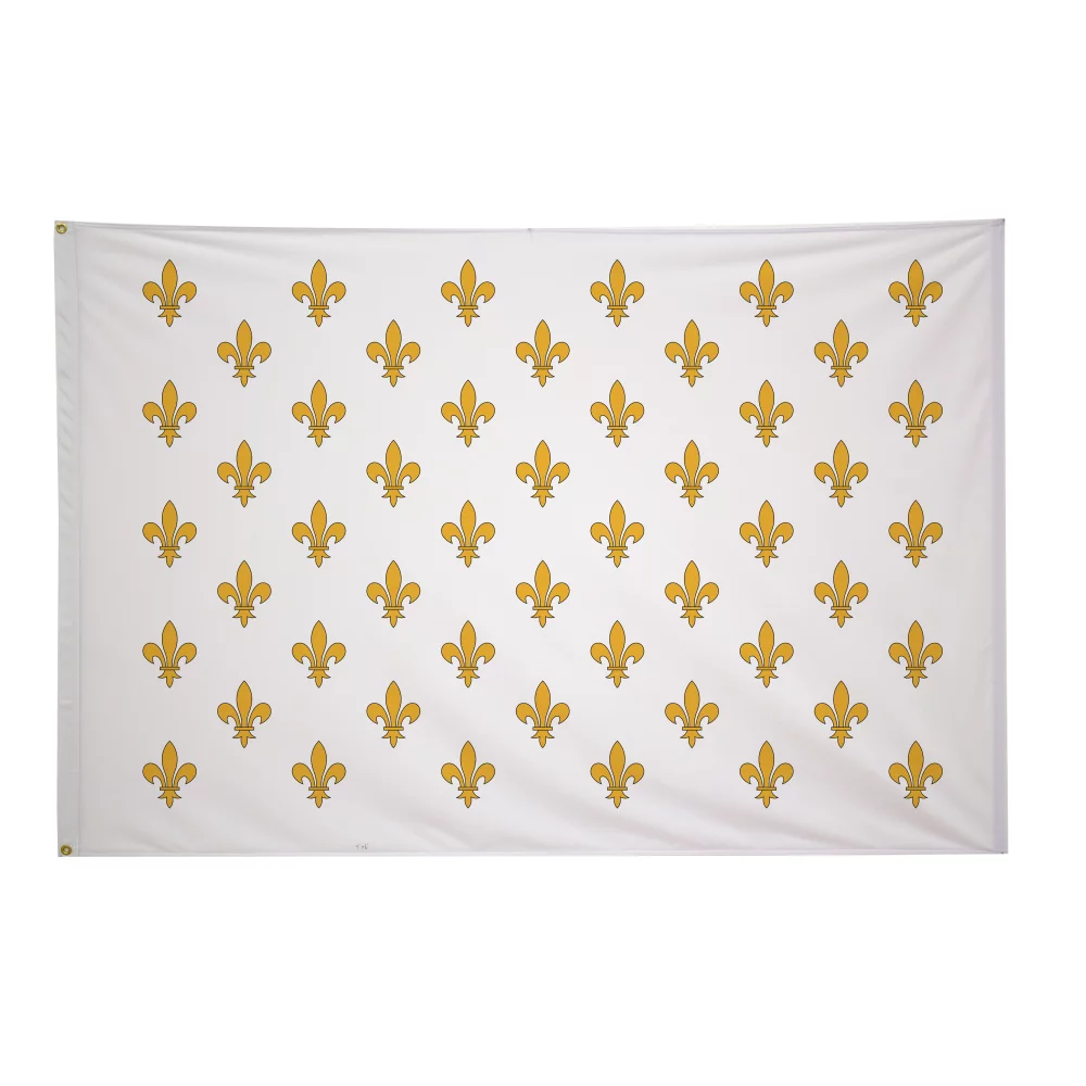 Drapeaux historiques de 4' x 6'