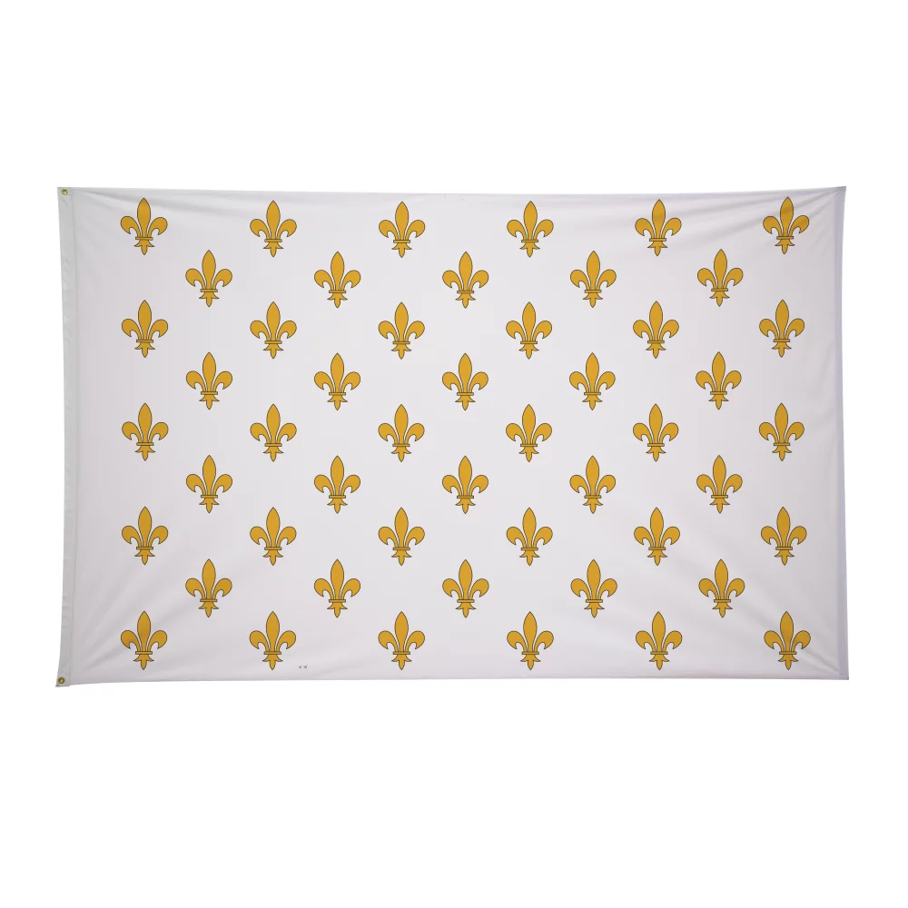 5' x 8' Historical Flags