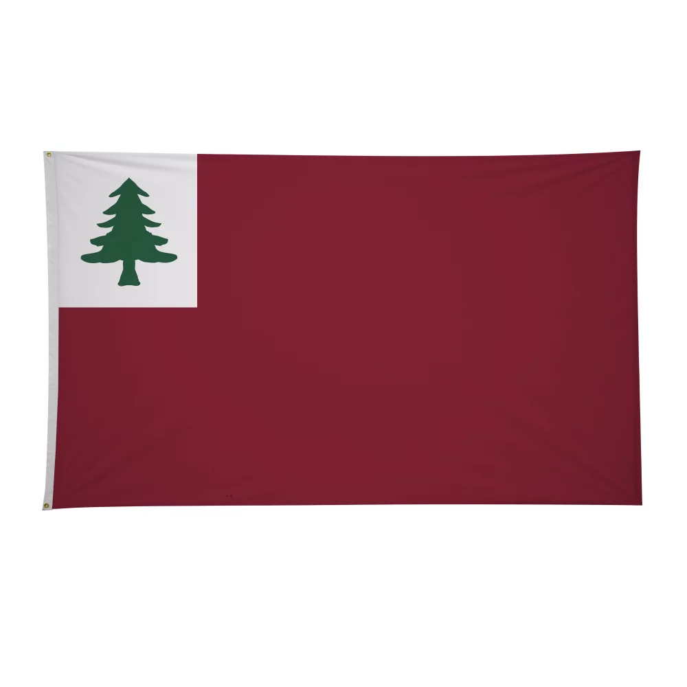 Drapeaux historiques de 6 pi x 10 pi