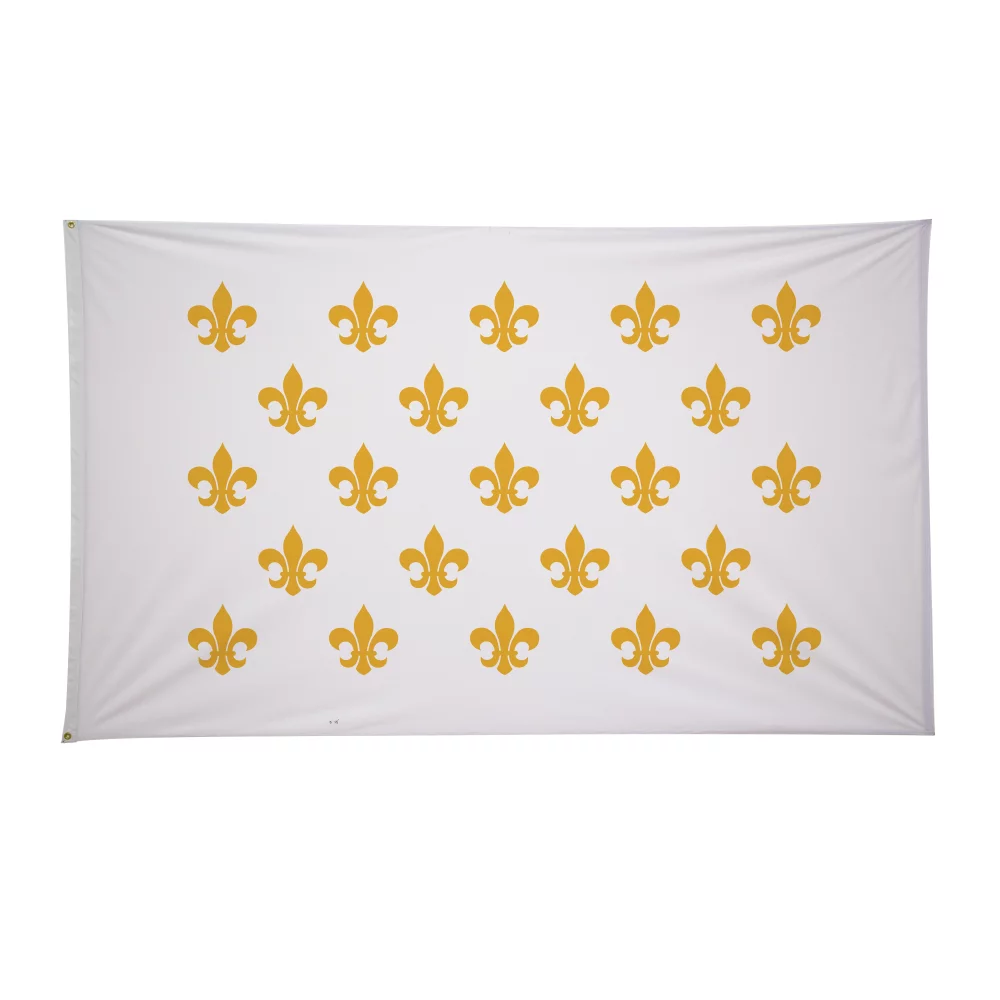 Drapeaux historiques de 6 pi x 10 pi