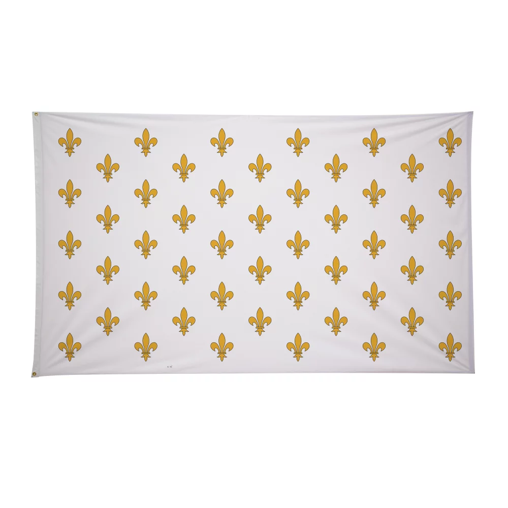 6' x 10' Historical Flags