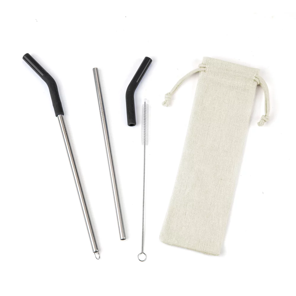 Reusable Stainless Steel Two Straw Set