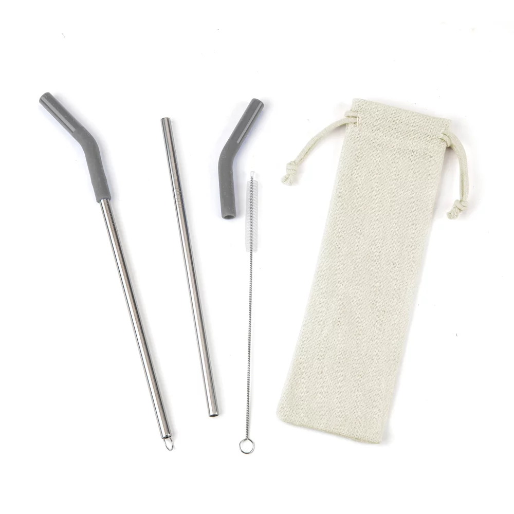 Reusable Stainless Steel Two Straw Set