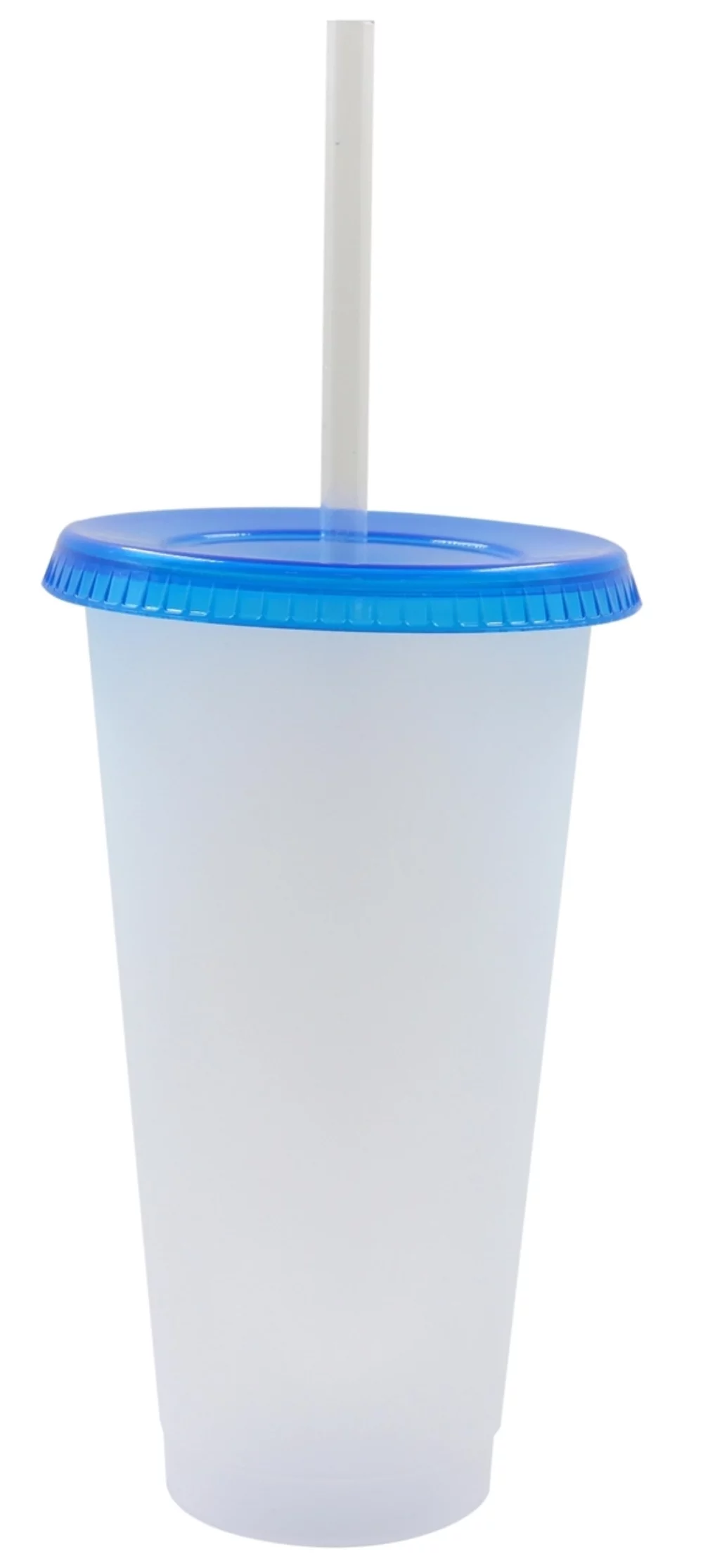 Starlight 19oz frosted plastic tumbler with Blue push on lid & clear straw