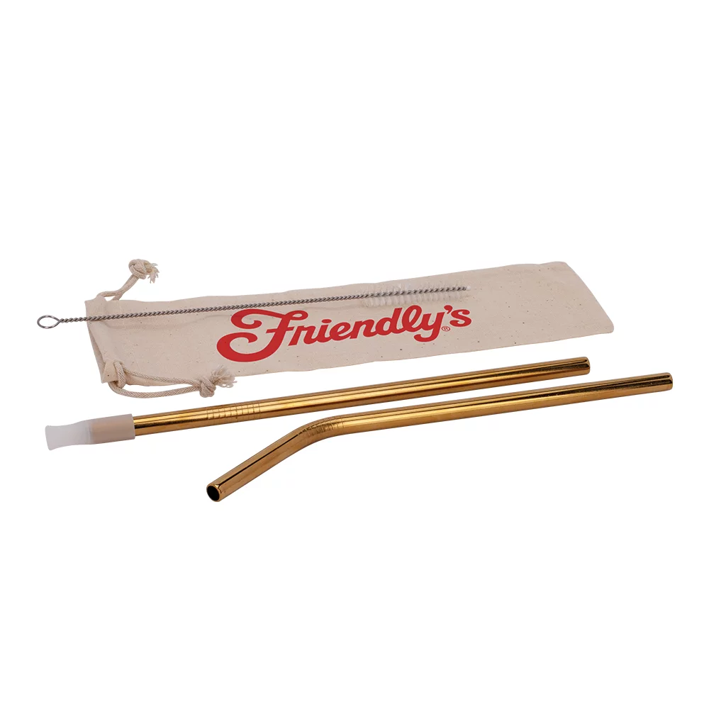 Ensemble de pailles en acier inoxydable HOOVER