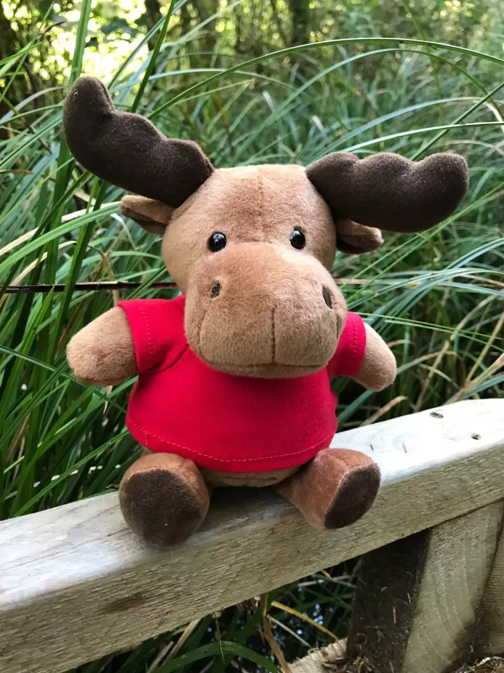 6" Mini Me Max Moose w/T-Shirt