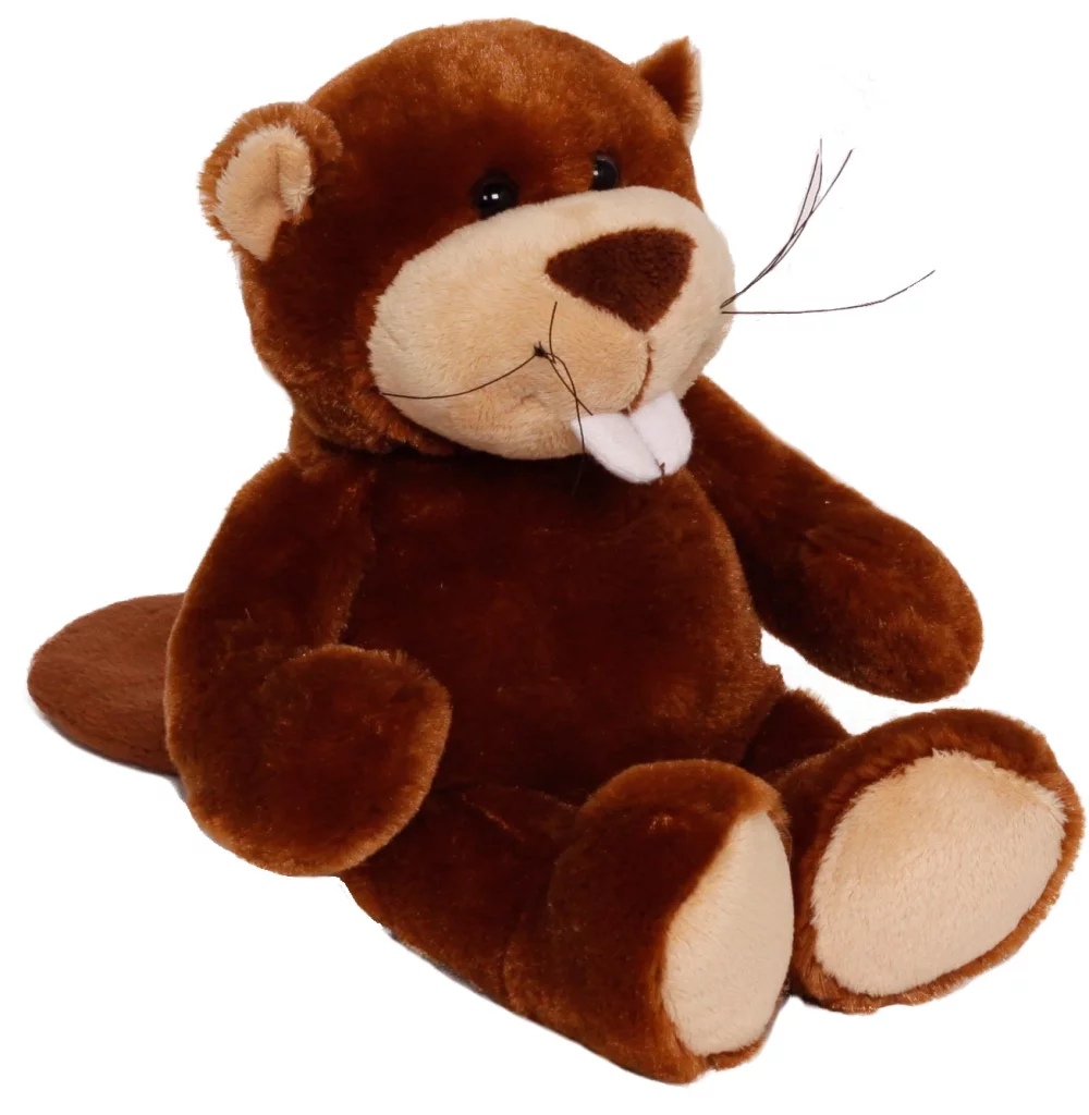 Castor Bucky de 11" avec un t-shirt