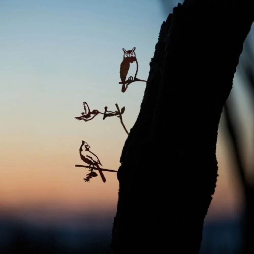 Baby Bird Bundle - Rust