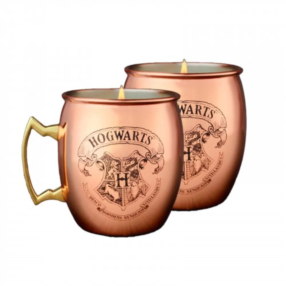 Harry Potter Bundle 1 - Copper Mug Horcrux Necklace Collection 2 Pack - Copper