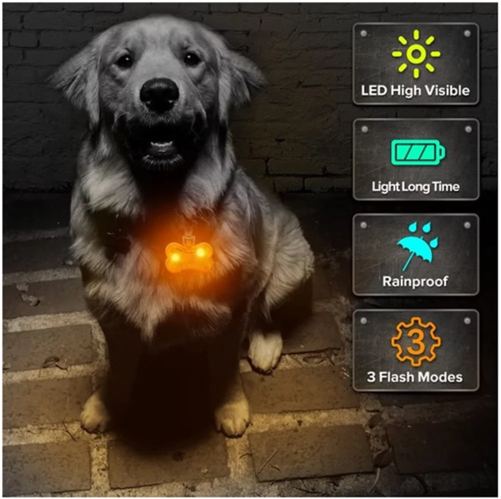 Pendentif de collier pour animal de compagnie en forme d'os avec LED