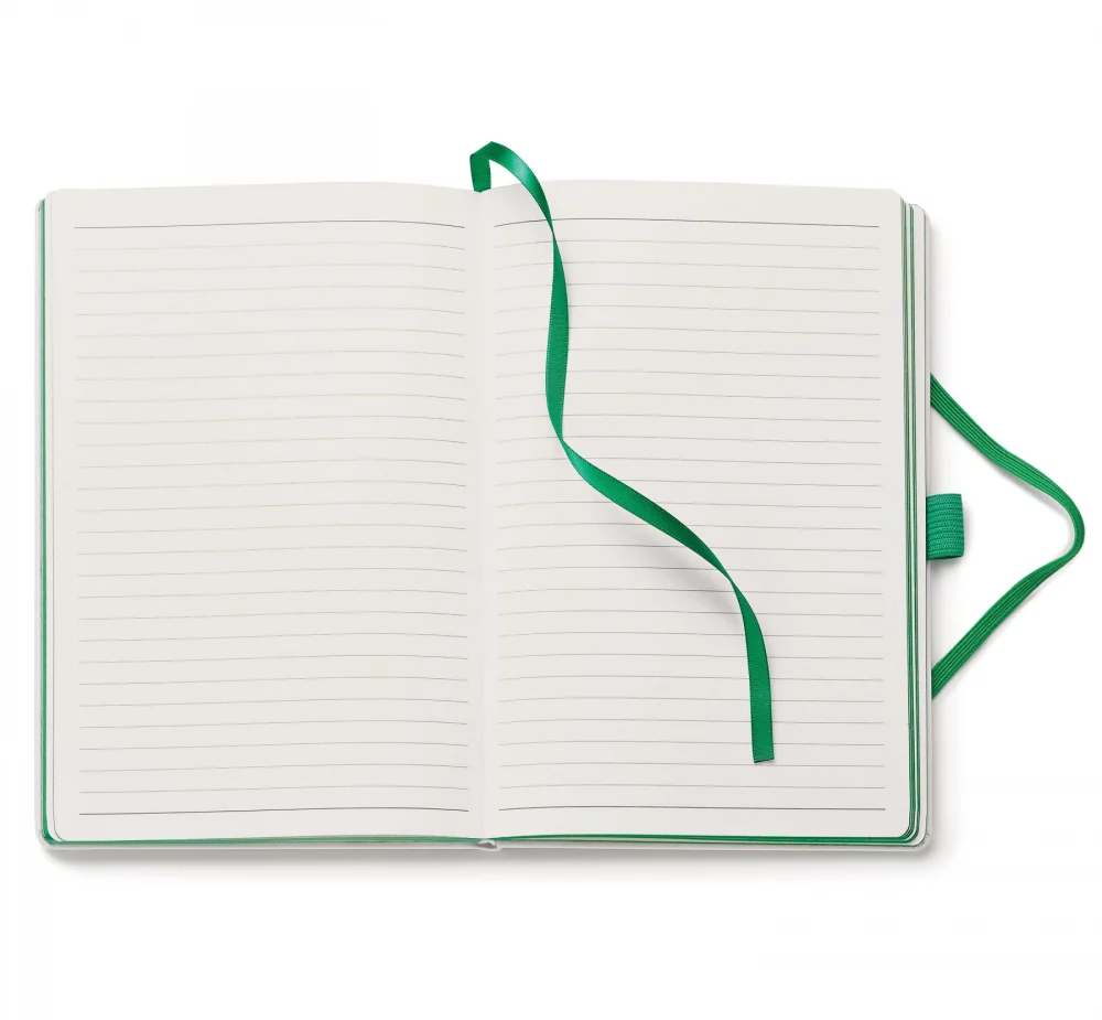 Chameleon Hard Cover Journal Combo