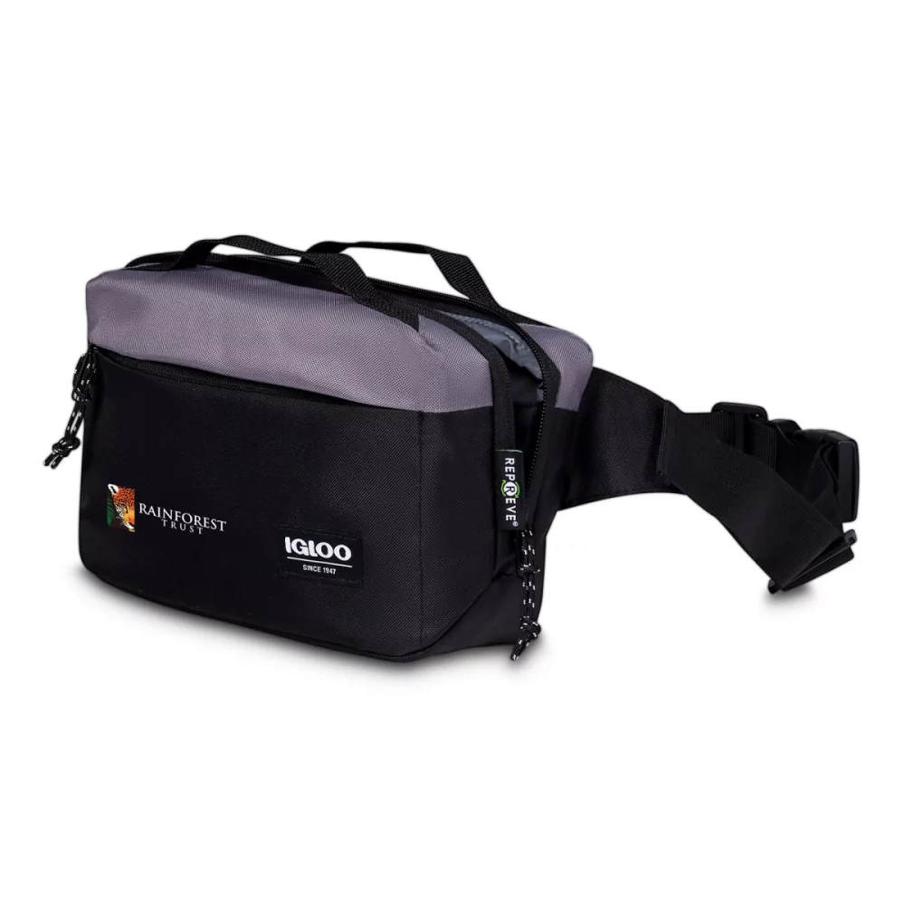 Igloo® Fundamentals Hip Pack Cooler - Black-Dark Grey