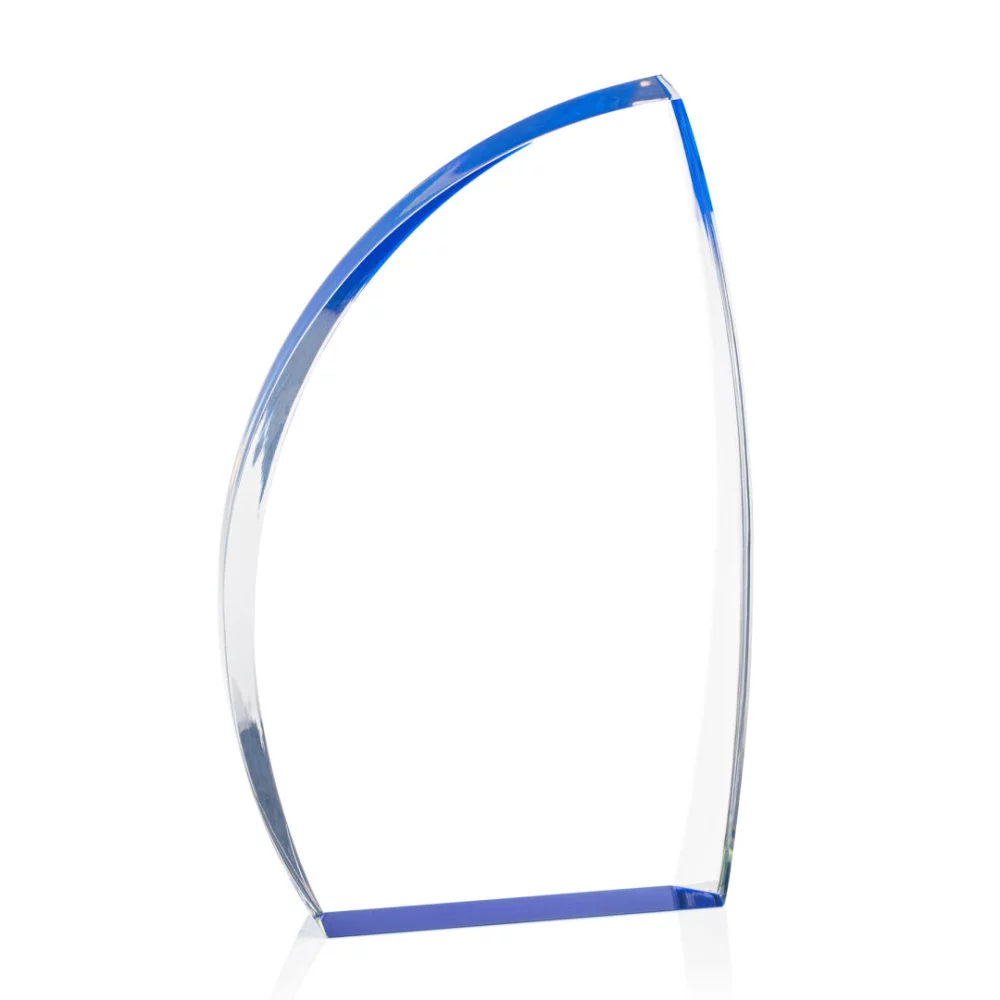 VividPrint™ Award - Duncan/Blue 9"