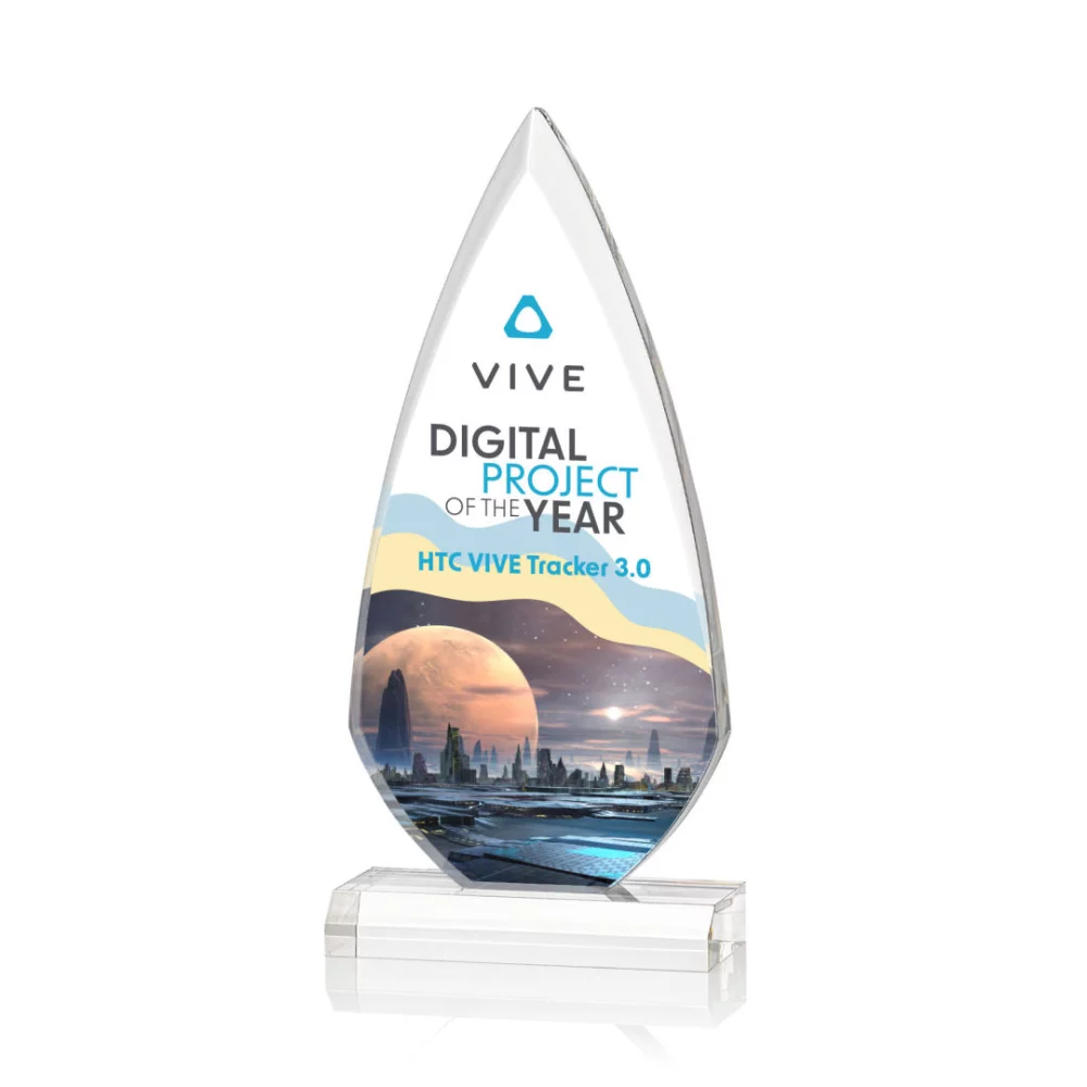 VividPrint™ Award - Vanderbilt 9"