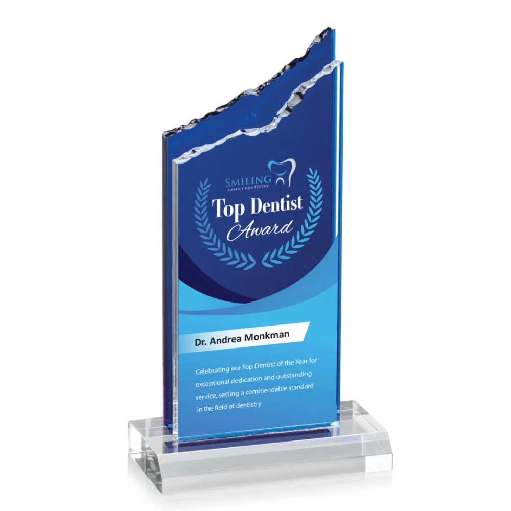 VividPrint™ Award - Barron/Blue 10"
