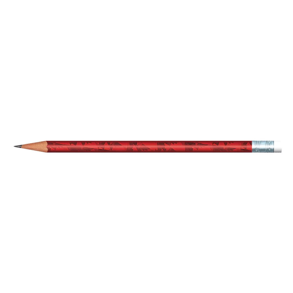 Crayon holographique