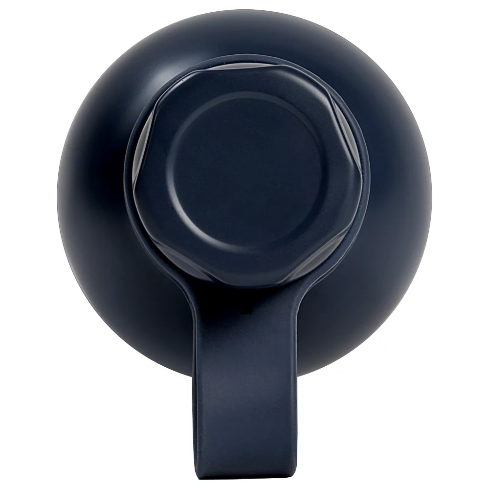 Northstar - Bouteille d'eau en acier inoxydable à double paroi de 19 oz - ColorJet