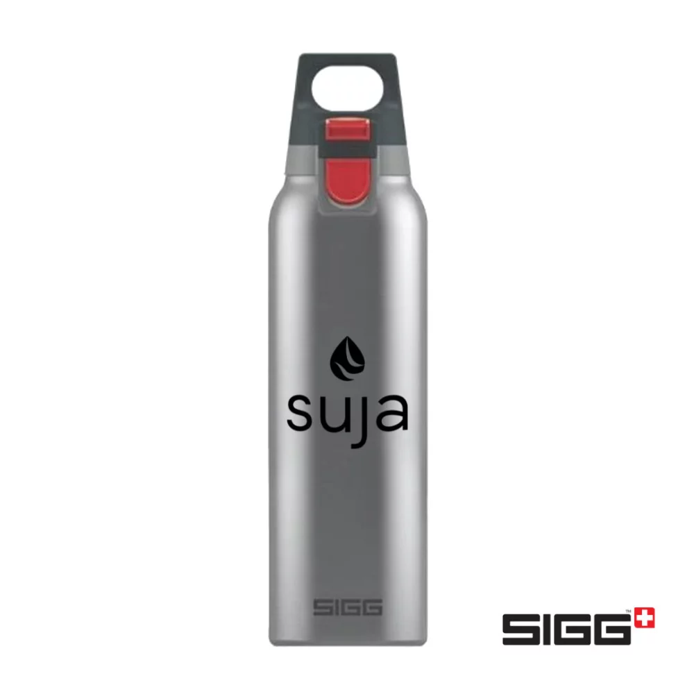 SIGG™ Hot & Cold One - 17oz Brushed Steel