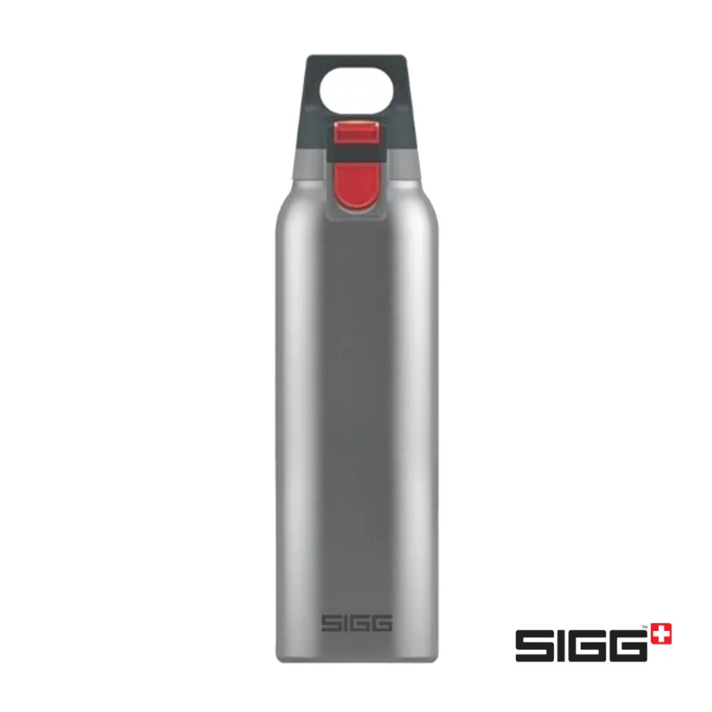 SIGG™ Hot & Cold One - 17oz Brushed Steel
