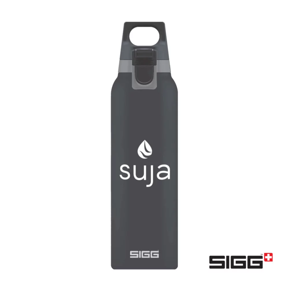 SIGG™ Hot & Cold One - 17oz Shade
