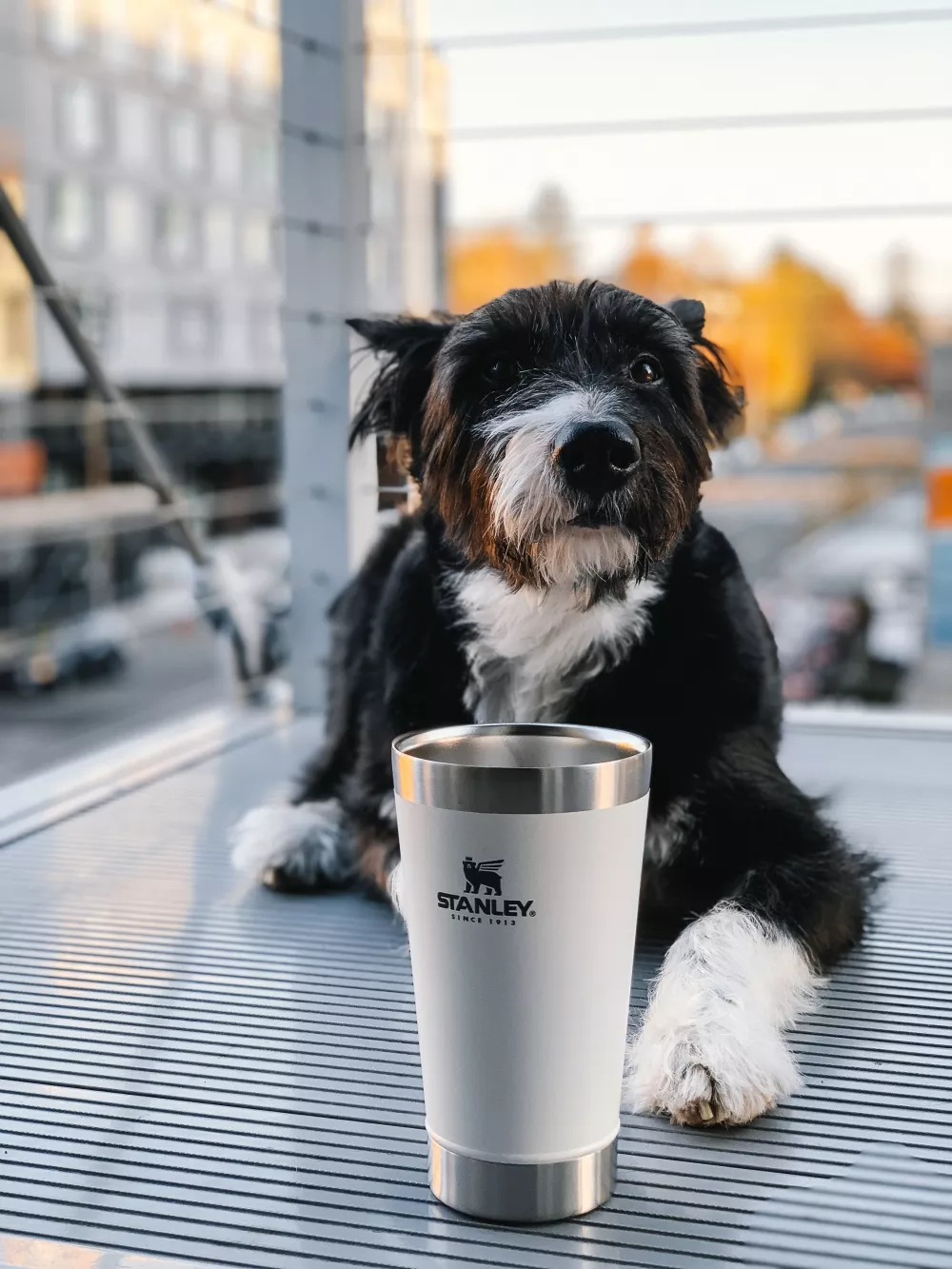 Stanley Stay-Chill Stacking Pint 16oz