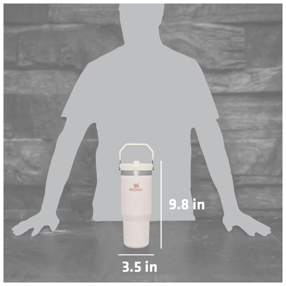 Gobelet à paille basculante Stanley IceFlow™ de 30 oz