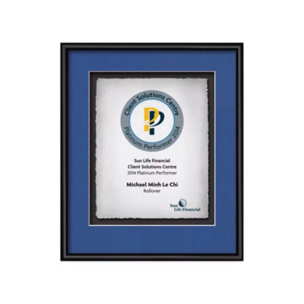 Papier moulé Fenestra Certificate Vert - Noir 14¾"x18¼"