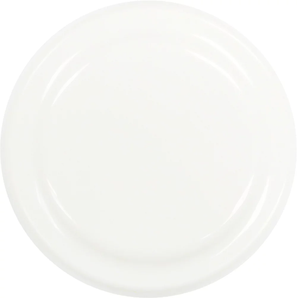 Frisbee de 4,5 pouces