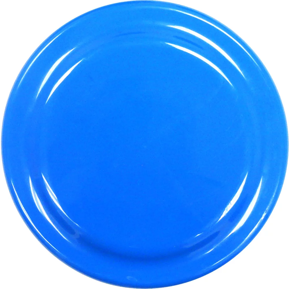 Frisbee de 4,5 pouces