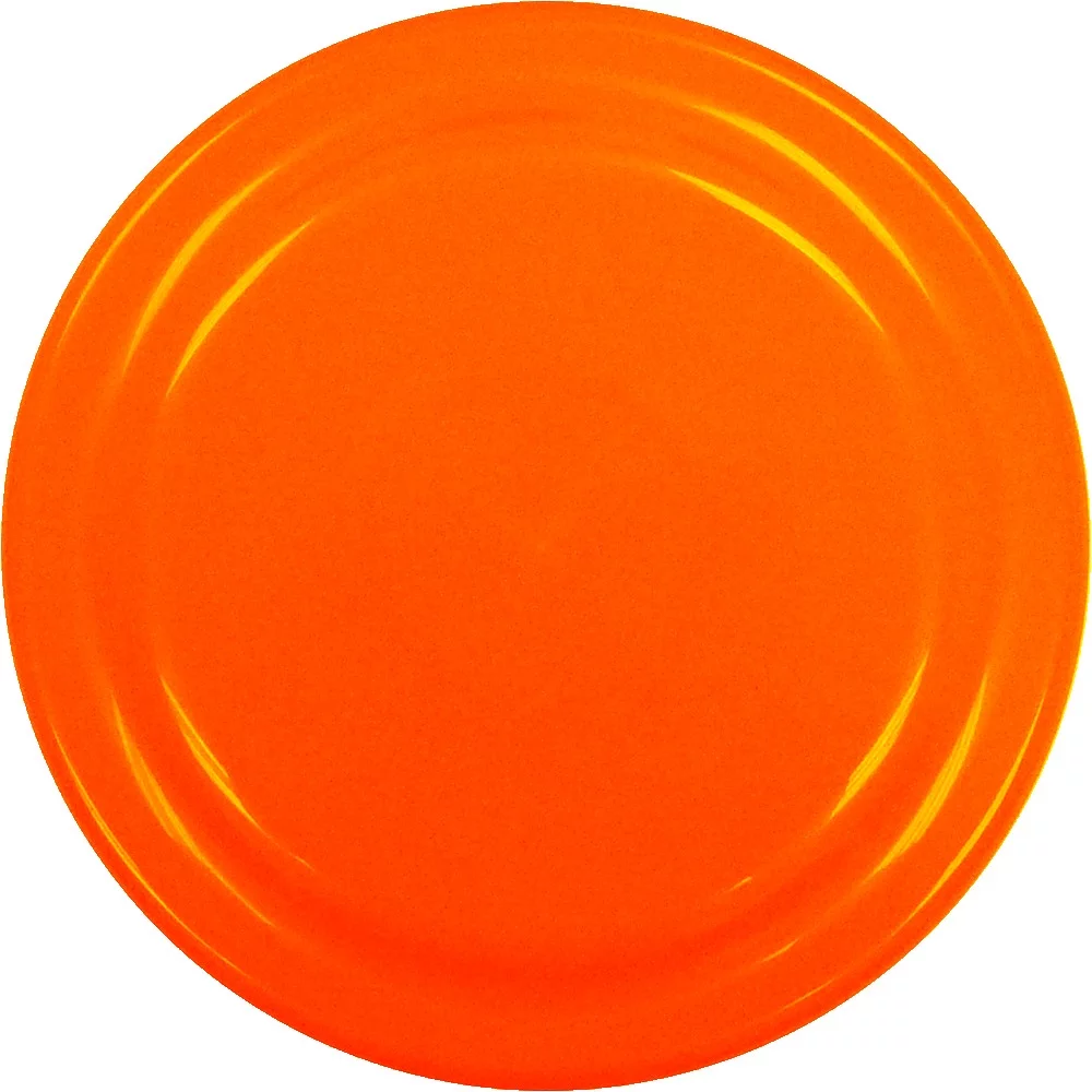 Frisbee de 9 pouces