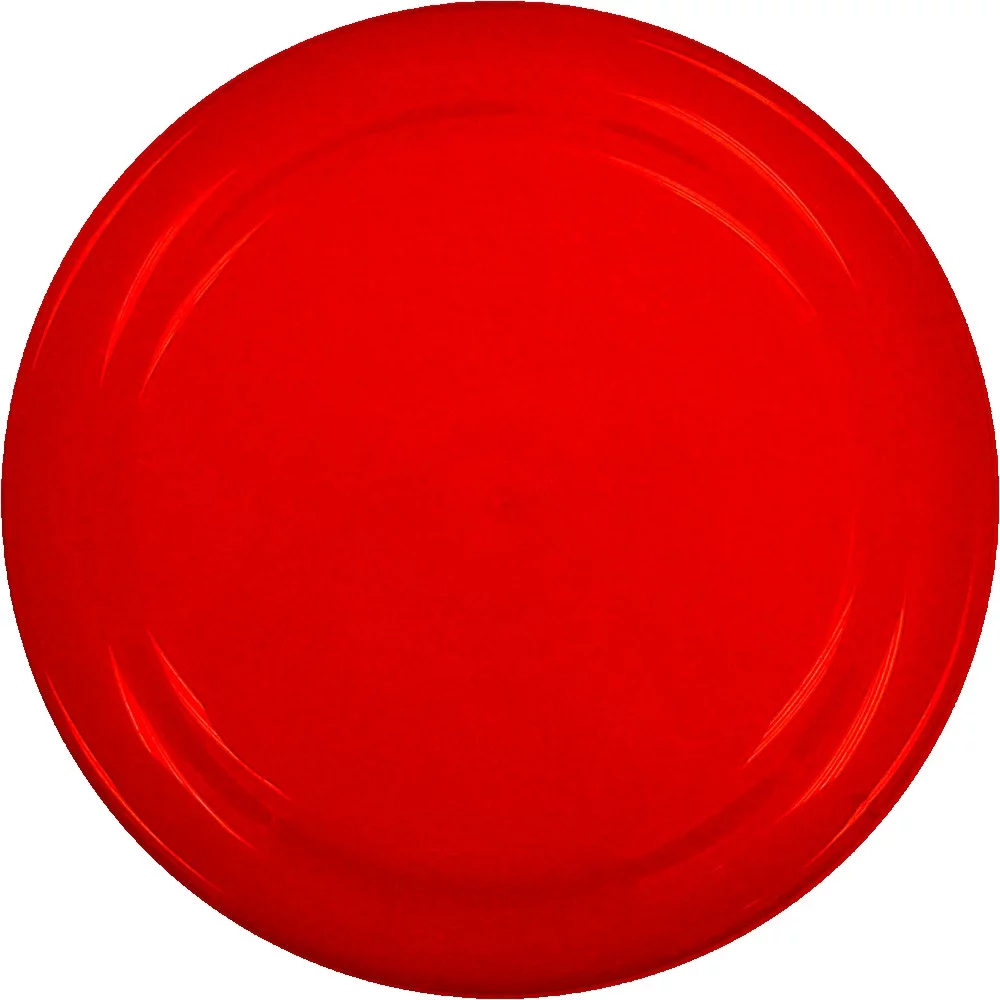 Frisbee de 4,5 pouces