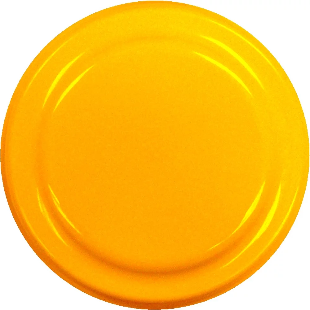 4.5" Flying Disc