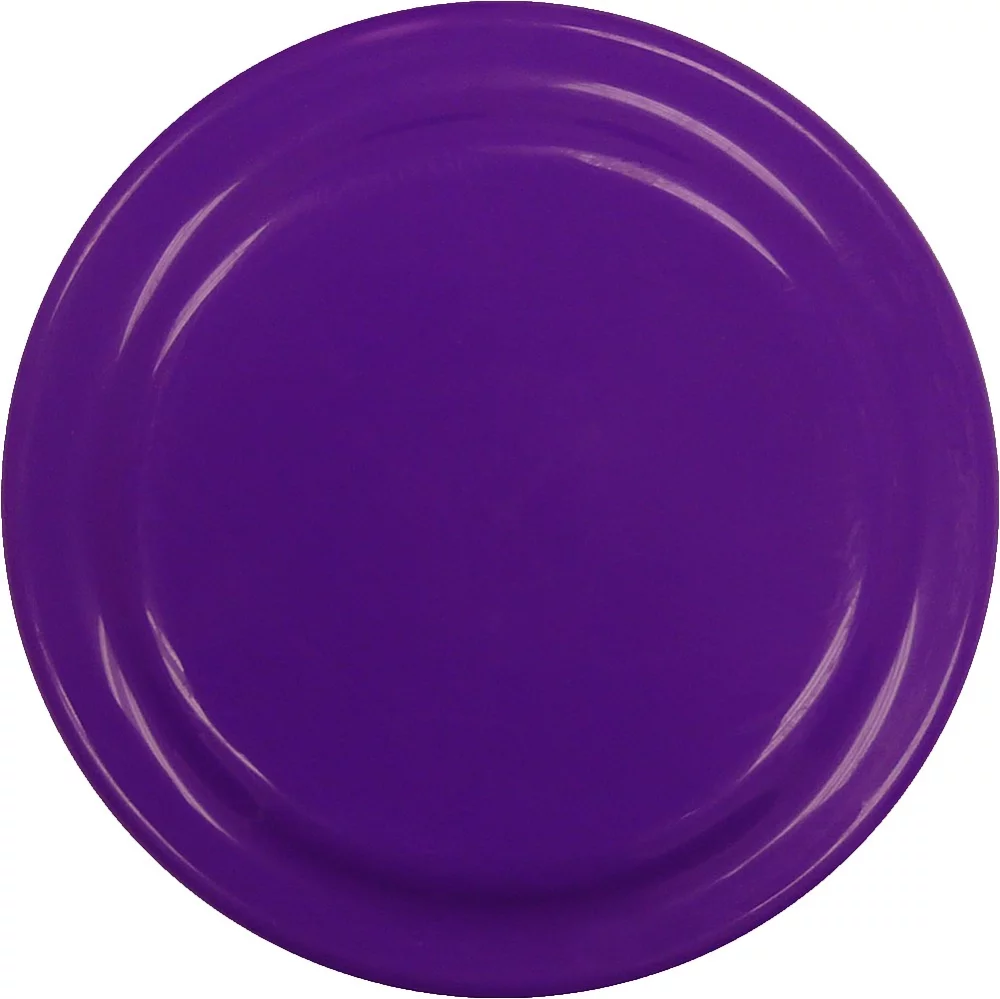9" Flying Disc