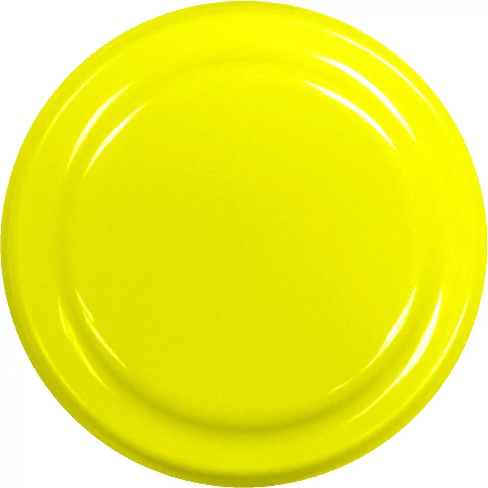 Frisbee de 4,5 pouces