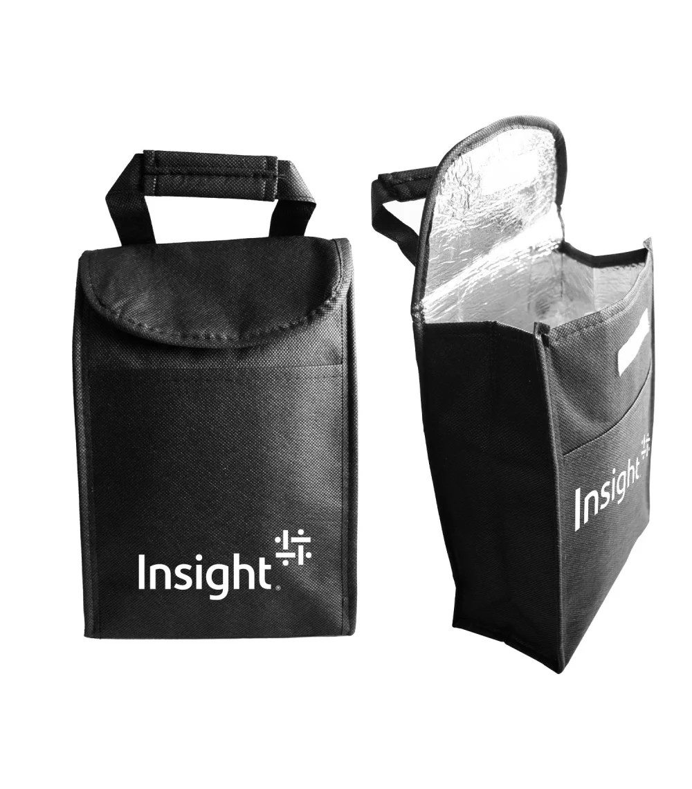 Mini Insulated Lunch Bag