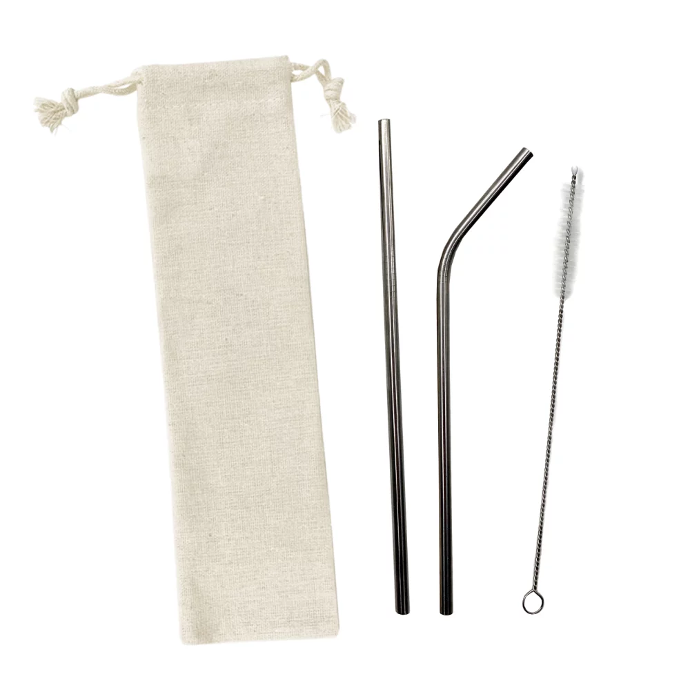 Ensemble de 3 pailles en acier inoxydable