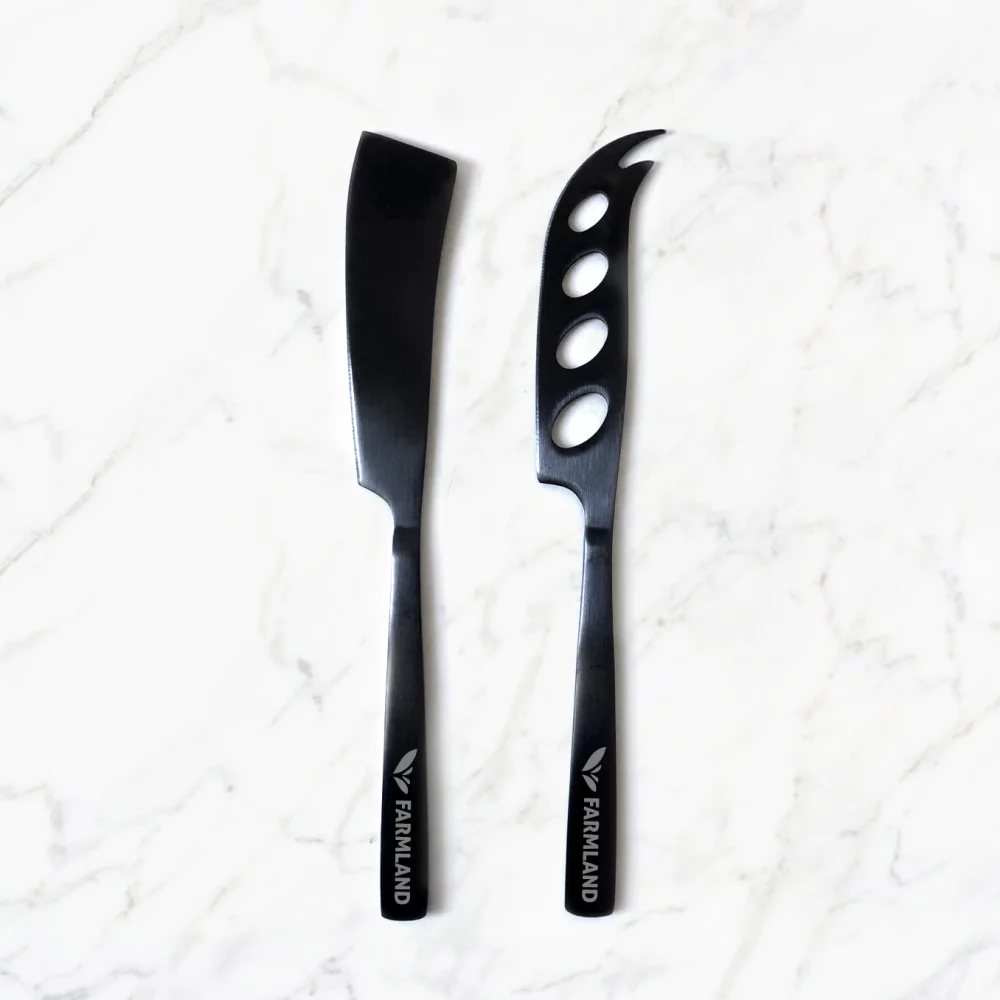 Ensemble de coupe-fromage en acier inoxydable