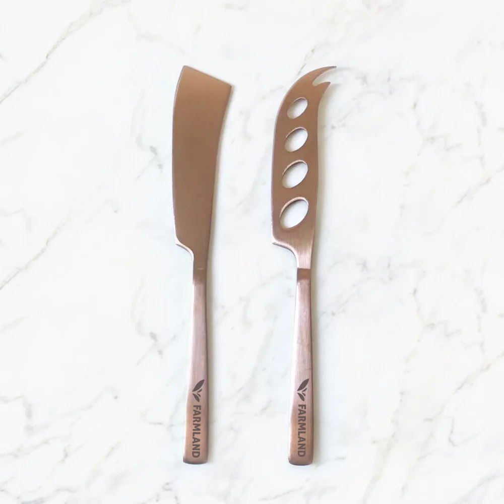 Ensemble de coupe-fromage en acier inoxydable