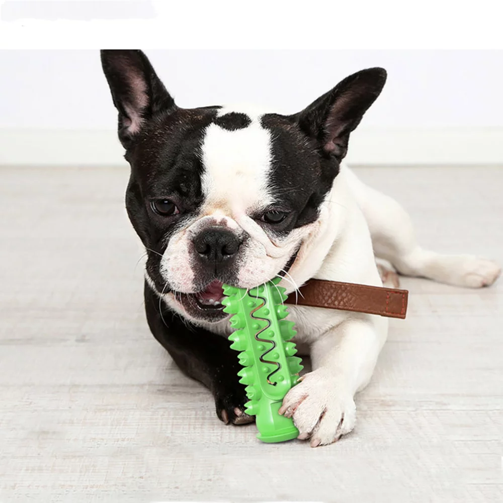 Pet Molar Stick