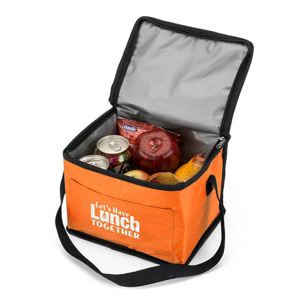 Lunch cooler