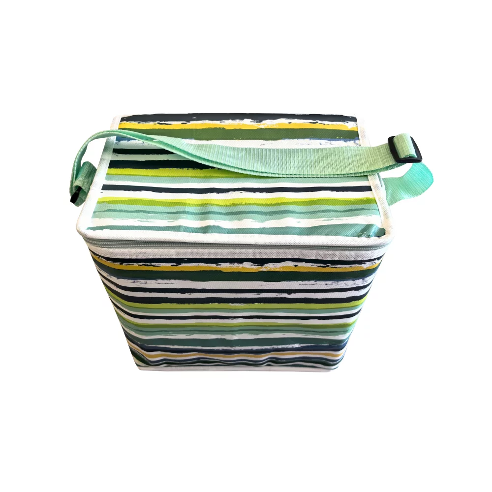 Cooler bag