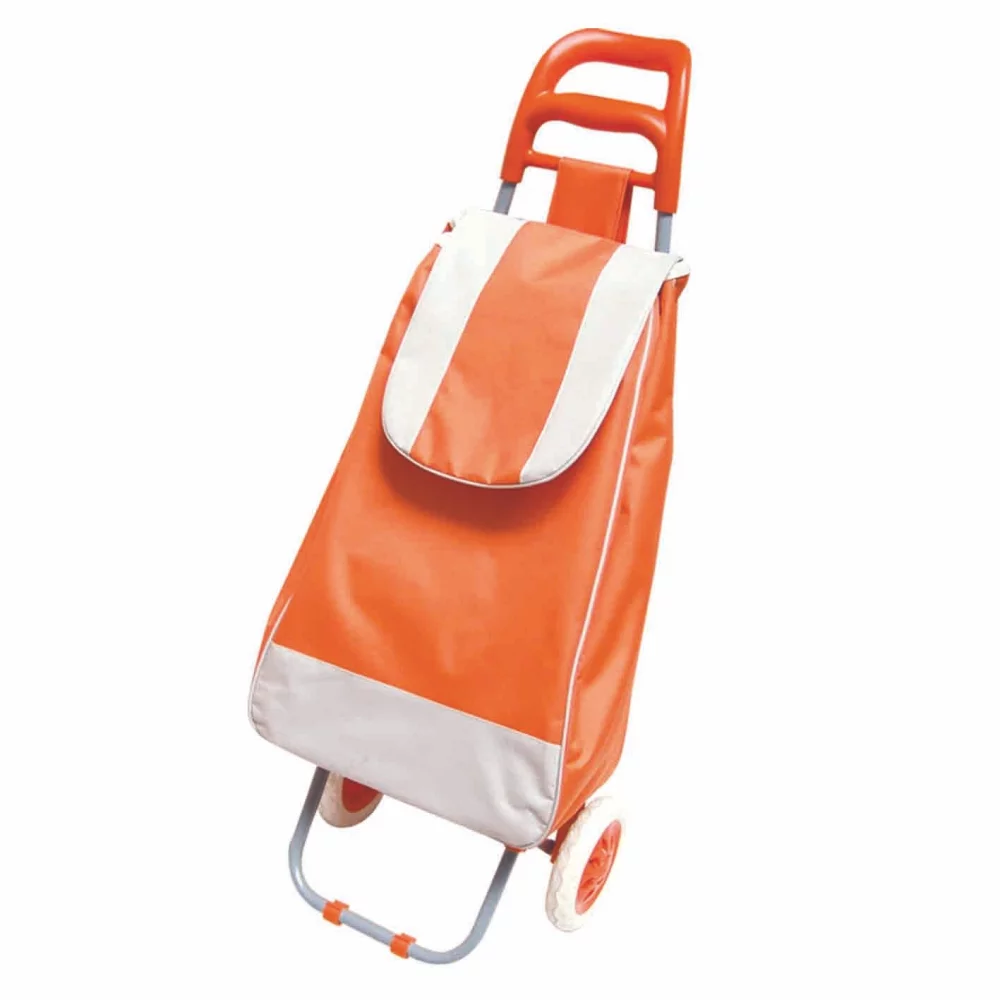 Trolley Bag
