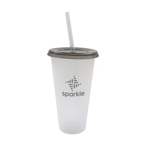 Starlight 19oz frosted plastic tumbler with Smoke push on lid & clear straw