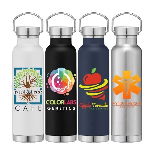 Apollo - Bouteille d'eau en acier inoxydable à double paroi de 22 oz avec couvercle - ColorJet