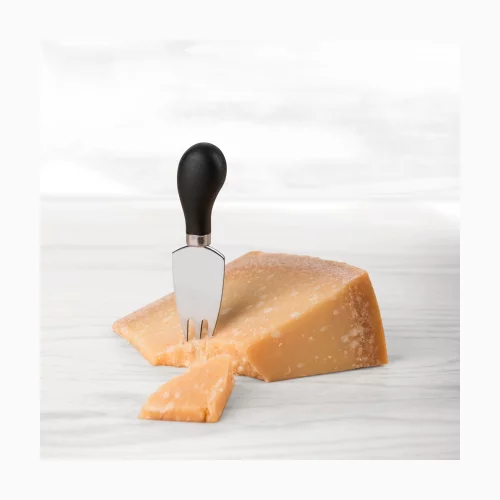 Specialty Cheese Knives Set of 4 - Trudeau