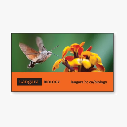 Aimant de mémo en forme de rectangle en stock .035 (2"x3 1/2") avec impression en couleur haute résolution.