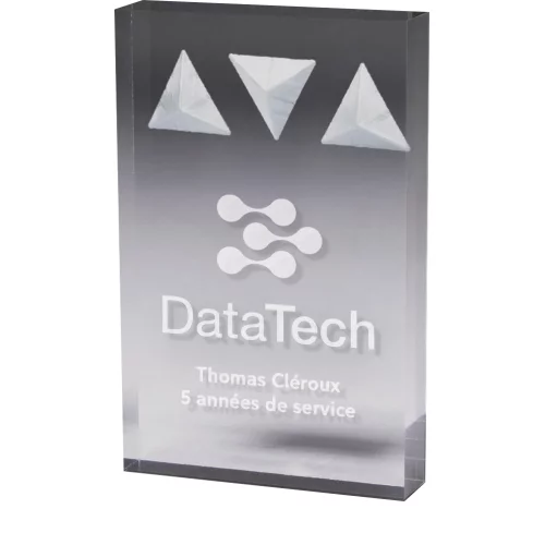 Prix Rectangle Deep Etch gravé au laser (5" x 7" x 3/4")