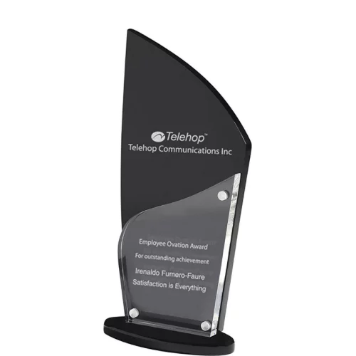 Torch Award (4 1/4" x 8 3/4" x 3/4") Laser Engraved